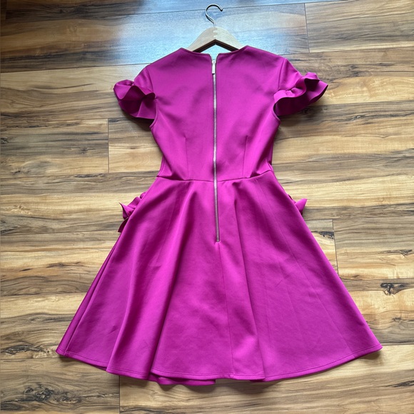 TED BAKER  Pink Ruffle Dress - Picture 4 of 9